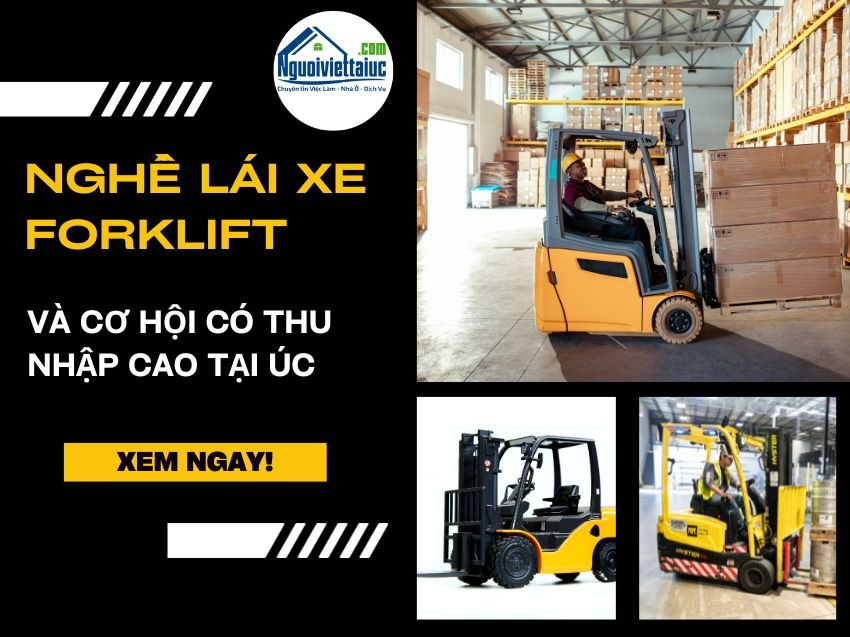 Nghề lái xe Forklift và cơ hội có thu nhập cao tại Úc
