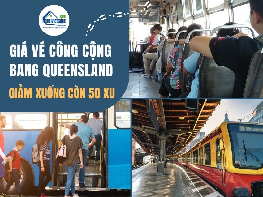 Giá vé công cộng bang Queensland giảm xuống còn 50 xu