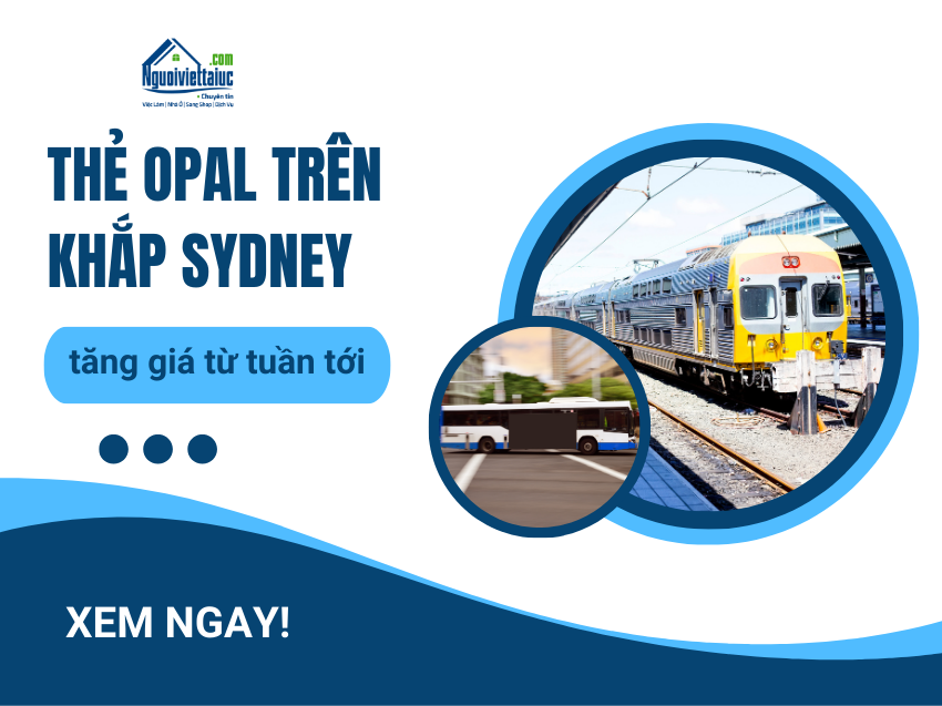 Thẻ OPAL trên khắp Sydney tăng giá từ tuần tới