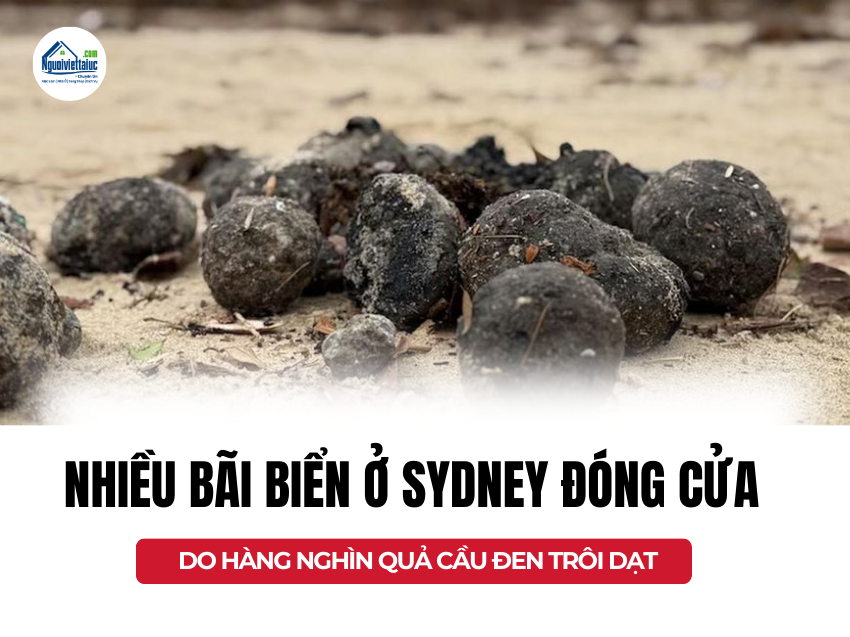Sydney đóng cửa nhiều bãi biển do hàng nghìn quả cầu đen