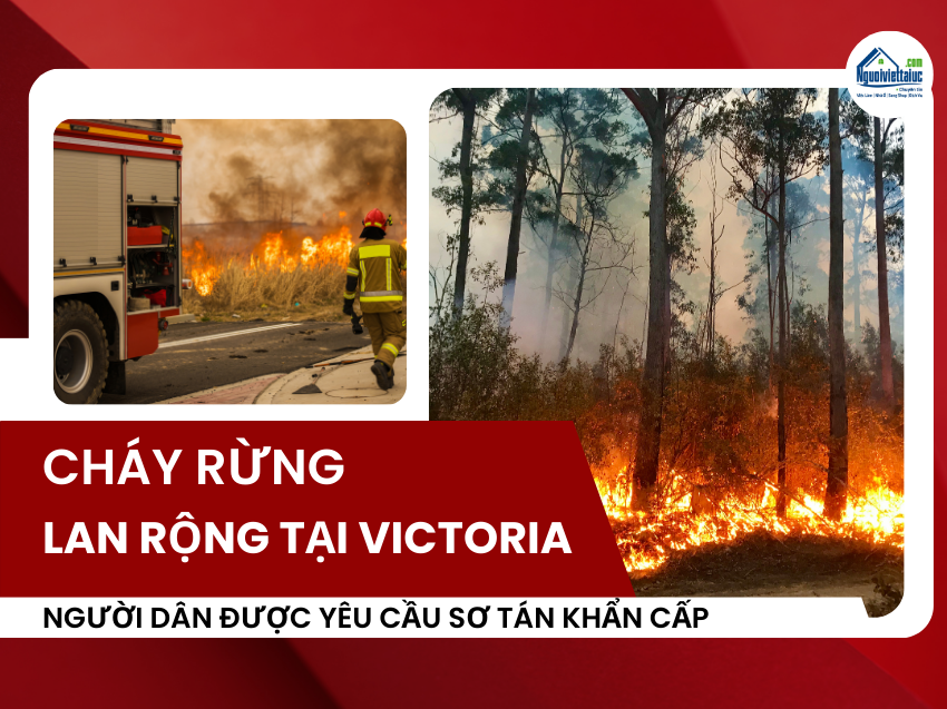 Cháy rừng lan rộng tại Vic: Ba thị trấn được yêu cầu sơ tán khẩn cấp