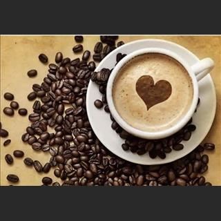 Shop cafe ở Kangaroo Point, Queensland hoạt động ổn định cần sang