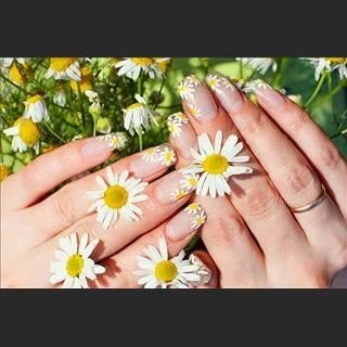 Shop nail vùng Springwood cách Inala 30 phút lái xe cần sang